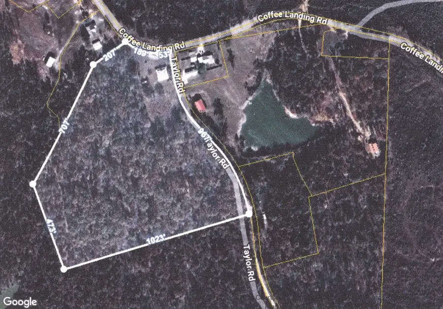 5405 COFFEE LANDING RD, Morris Chapel, TN 38361 - #2