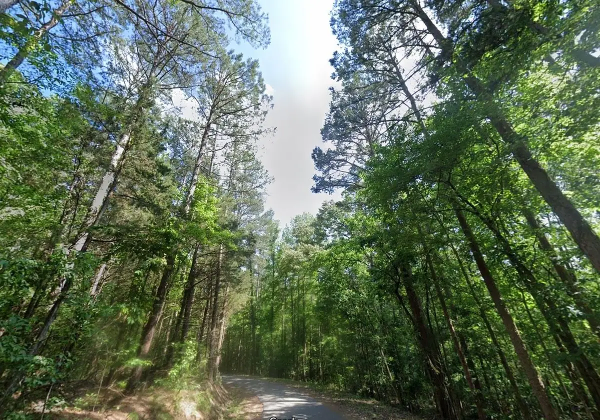 CEDAR GROVE LOOP, Bolivar, TN 38008 - #1