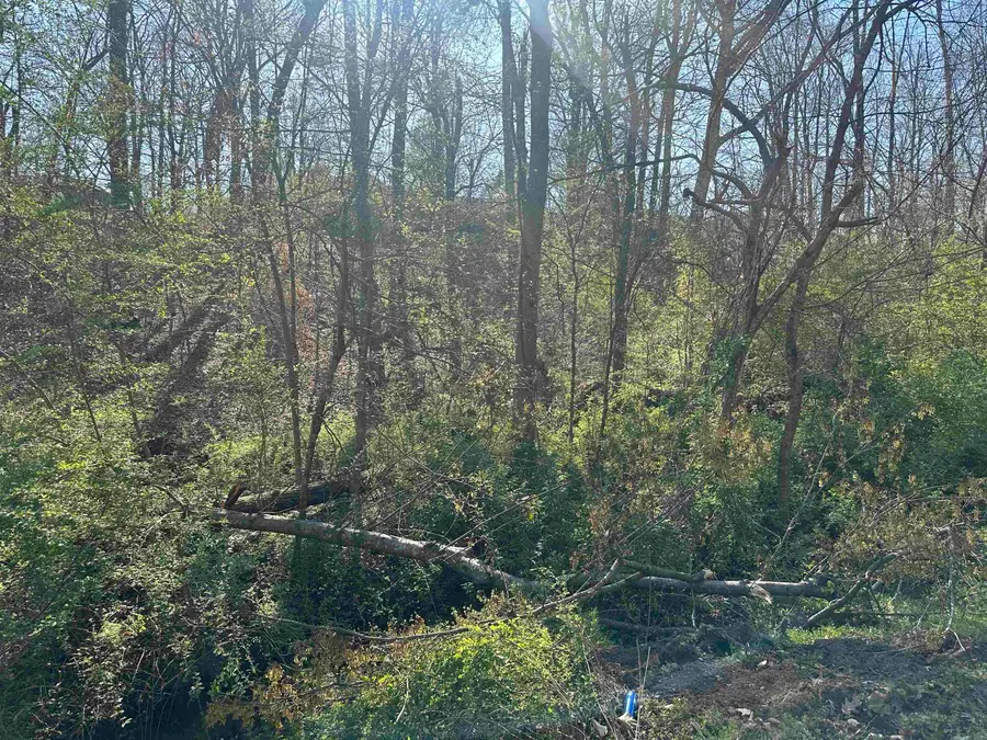 LOT 2 CRUMP LANDING RD, Crump, TN 38327 - #2