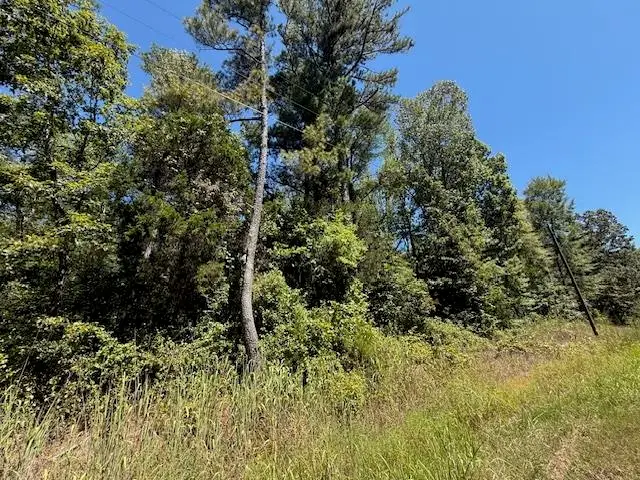 TRACK 2 KENDRICK/GIN RD, Michie, TN 38357 - #2