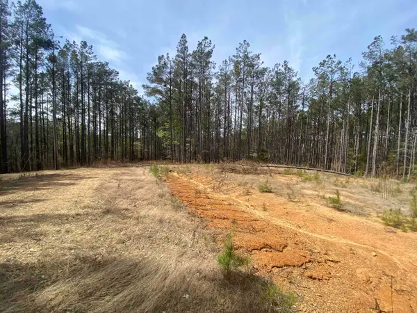 LOT 29 CIR, Iuka, TN 38852