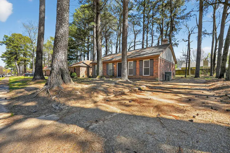 4534 SANDY PARK DR, Memphis, TN 38141 - #3