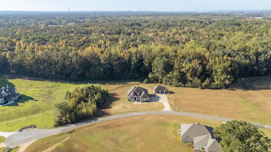 340 GRAND OAKS CV, Savannah, TN 38372 - #3