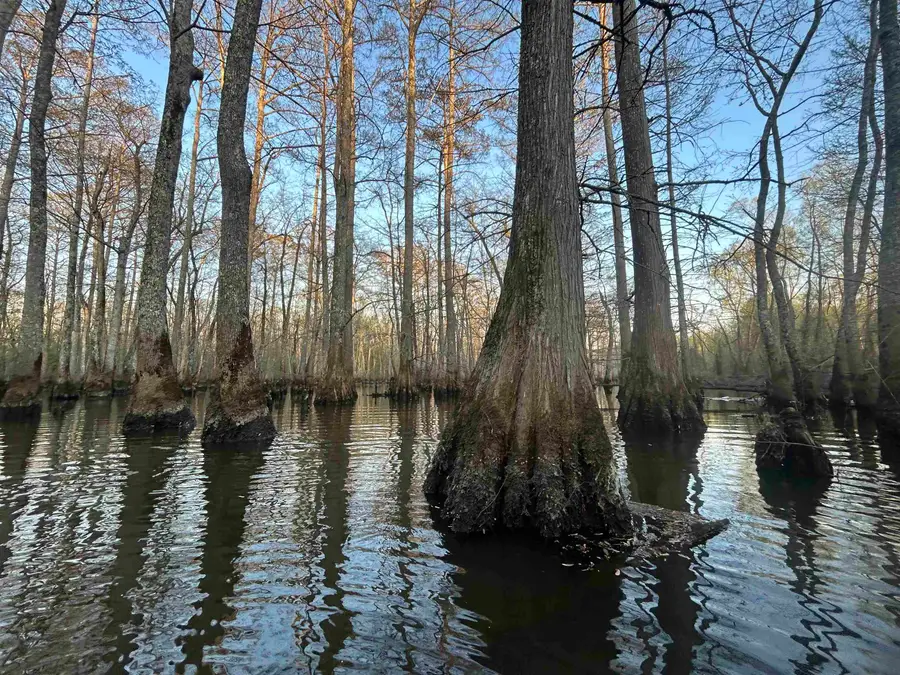 0 HIGHWAY 64 HWY, Bolivar, TN 38052 - #2