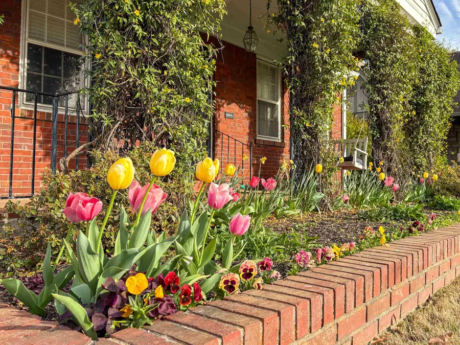 880 N MCLEAN BLVD, Memphis, TN 38107 - #3