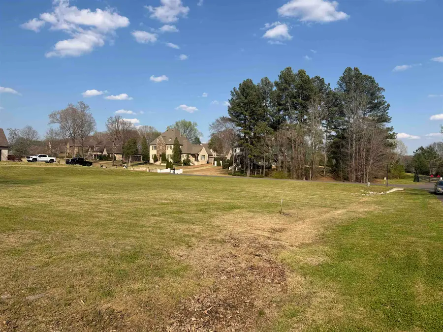 290 RIDGEWOOD DR, Piperton, TN 38017 - #3