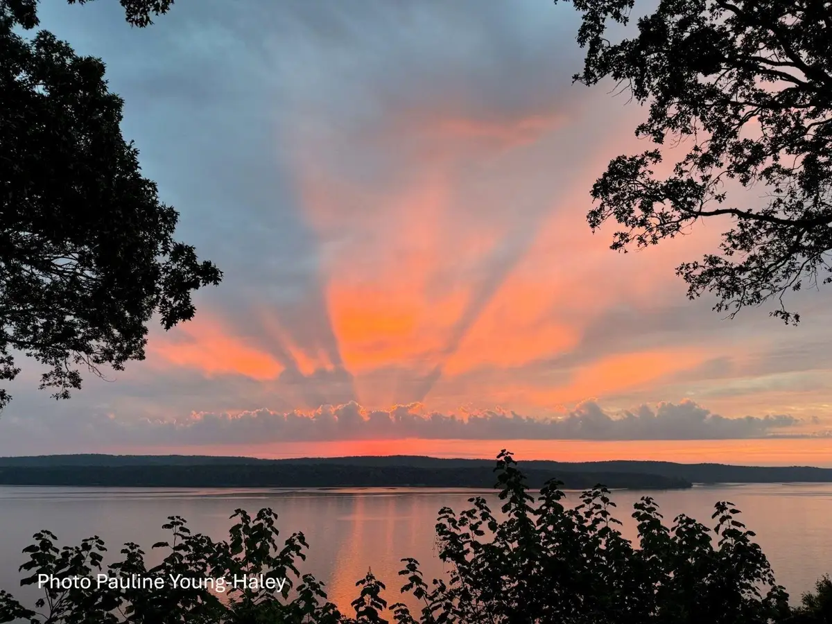 135 SPUMANTE LN, Counce, TN 38326 - #1