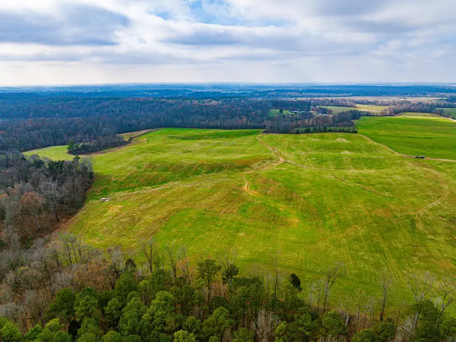 0 COMO & MCKENZIE RD, McKenzie, TN 38201 - #2