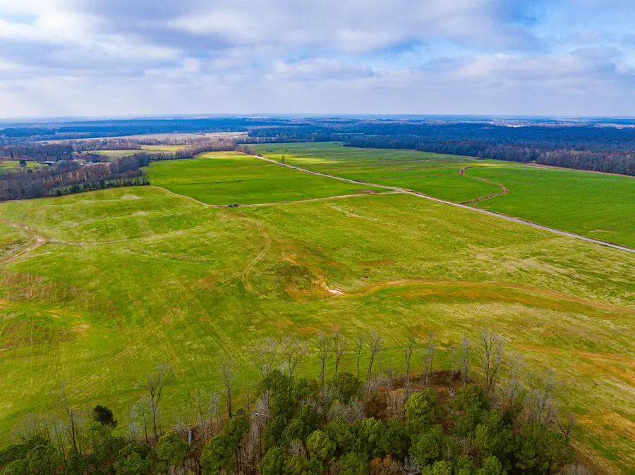 0 COMO & MCKENZIE RD, McKenzie, TN 38201 - #3