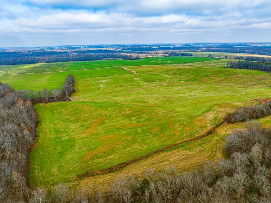 0 COMO & MCKENZIE RD, McKenzie, TN 38201 - #3