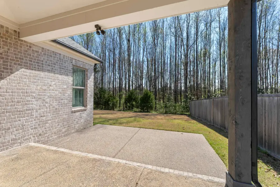 925 CYPRESS VINE CV, Collierville, TN 38017 - #3