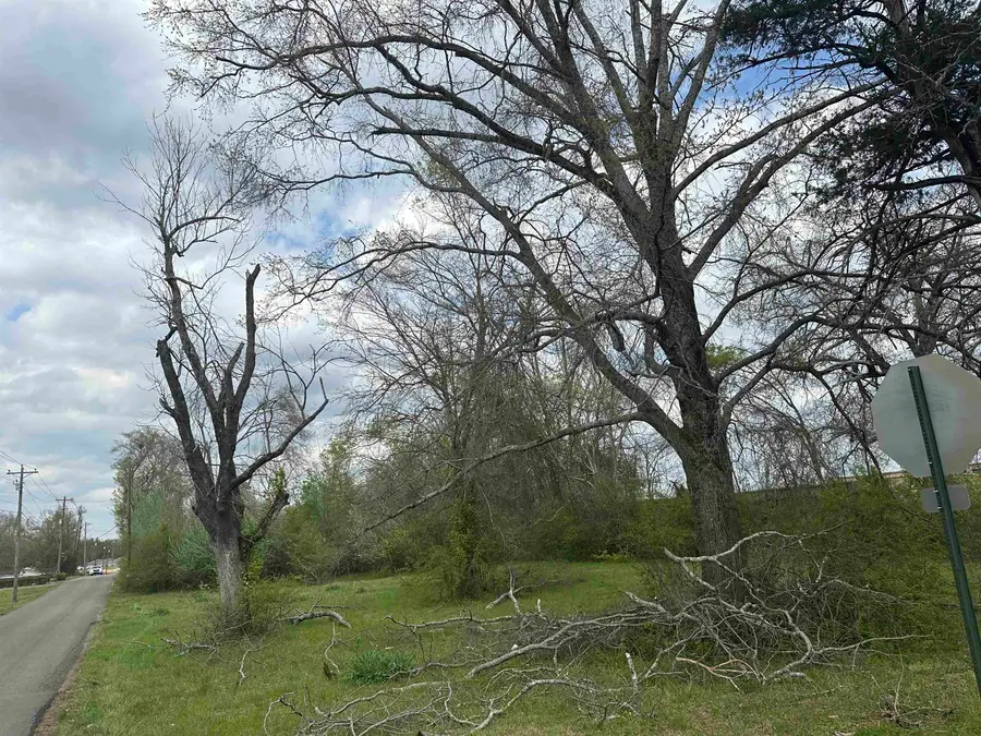 345 SOUTH ST, Savannah, TN 38372-9999 - #2