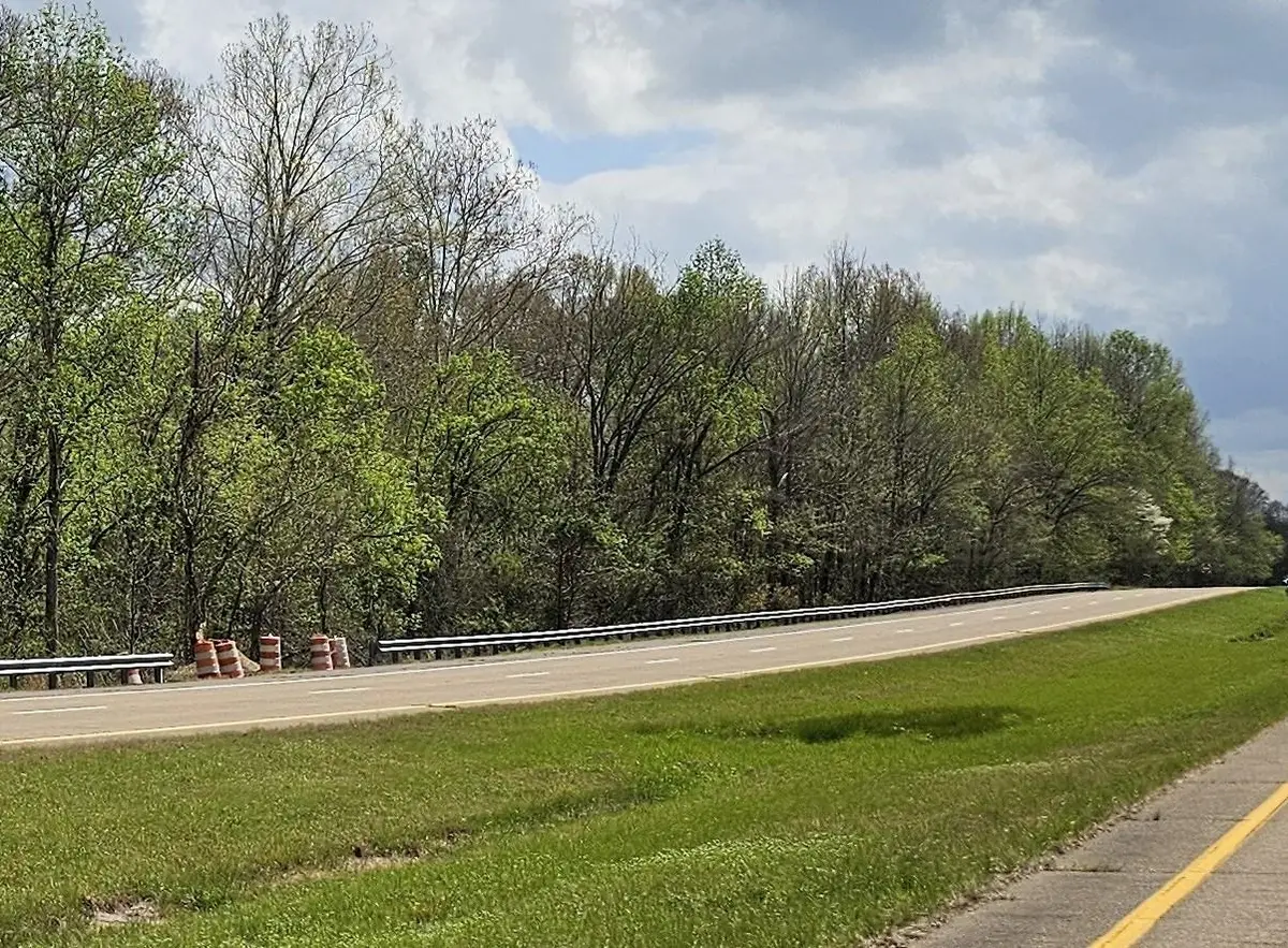 0 N WATKINS RD, Millington, TN 38053 - #1