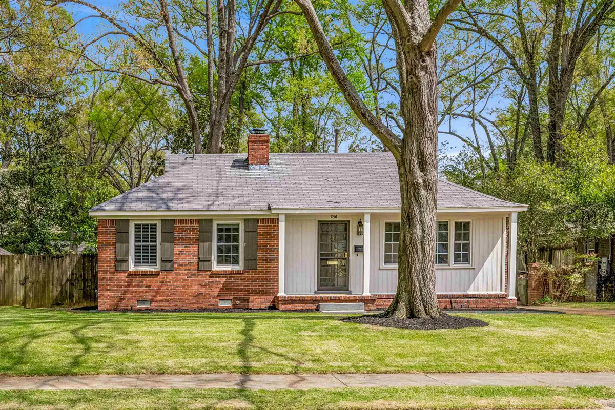 236 EASTLAND DR, Memphis, TN 38111 - #1
