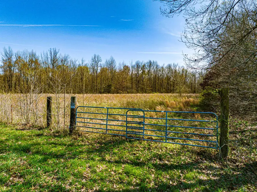 0 HAMMLETT RD, Beech Bluff, TN 38313 - #3