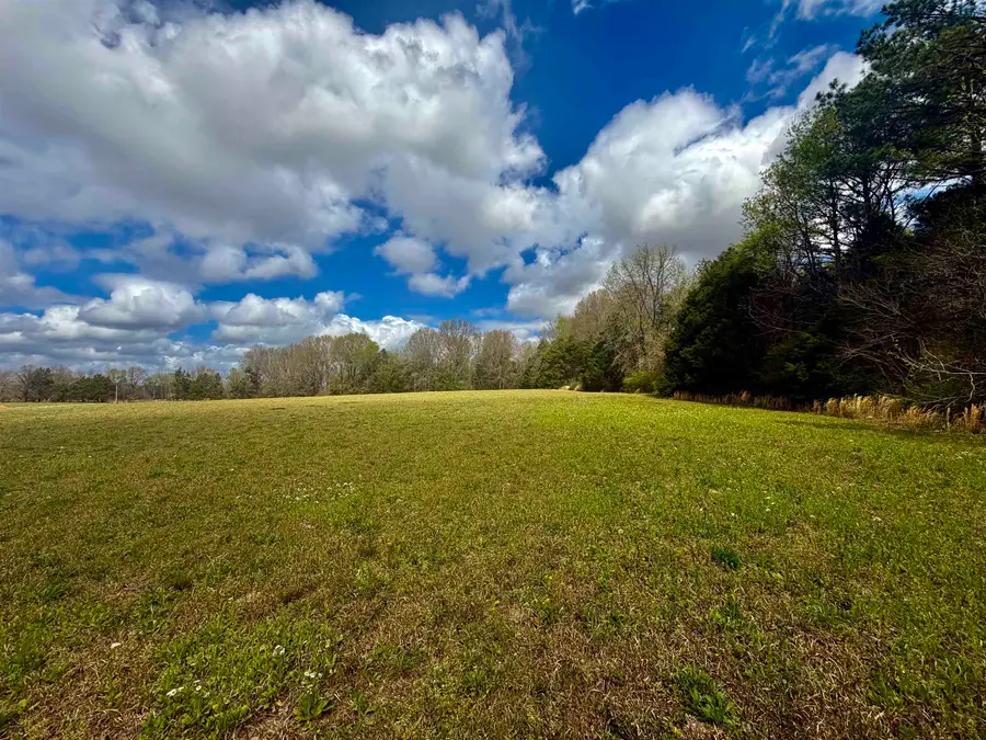 8.19 AC FEATHERS CHAPEL DR, Somerville, TN 38068 - #2