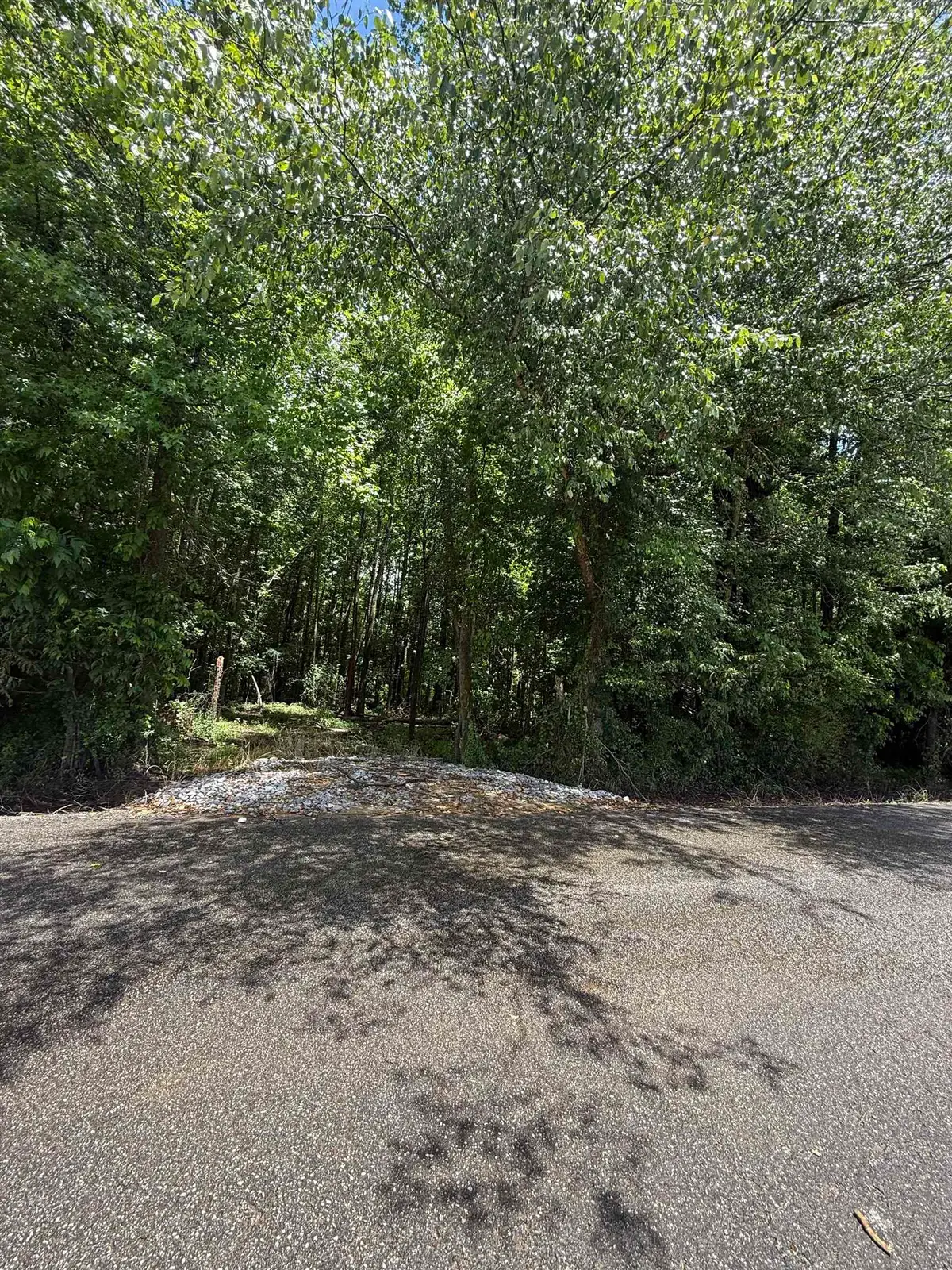 0 HAYS RD, Moscow, TN 38057 - #1