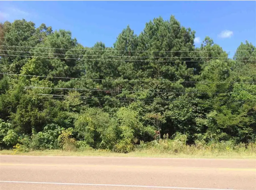 0 OLD BROWNSVILLE RD, Bartlett, TN 38135 - #2