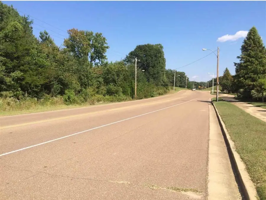 0 OLD BROWNSVILLE RD, Bartlett, TN 38135 - #3