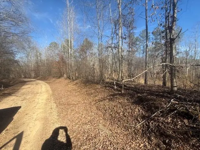 TRACT 1 GEORGE WALTER RD, Bolivar, TN 38008 - #2