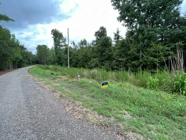 TRACT 8 BULLMAN RD, Finger, TN 38334 - #3