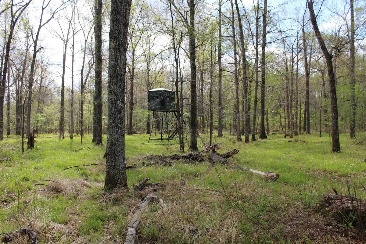 000 ESTANAULA RD, Brownsville, TN 38012 - #1