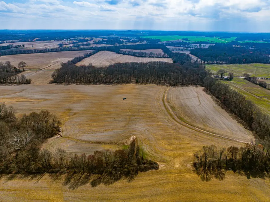 0 GEORGE BUTLER RD, Bradford, TN 38316 - #3