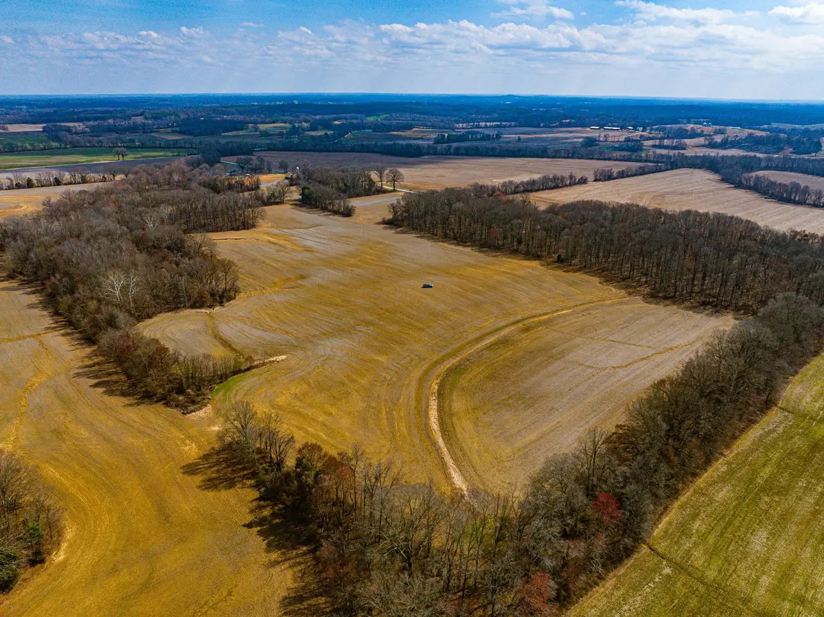 0 GEORGE BUTLER RD, Bradford, TN 38316 - #1