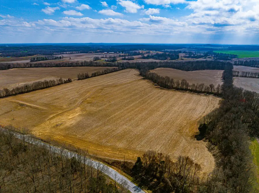 0 GEORGE BUTLER RD, Bradford, TN 38316 - #3