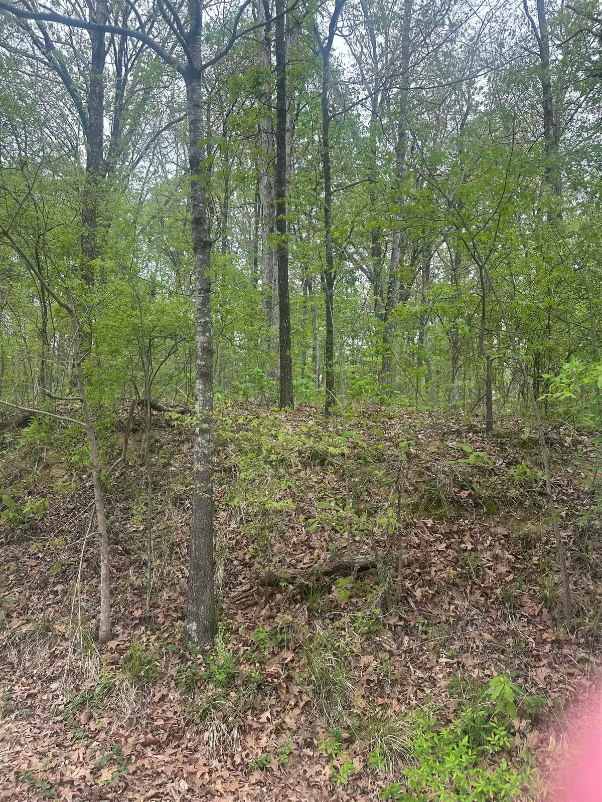 8768/8750 BOB WHITE DR, Hernando, MS 38632 - #1