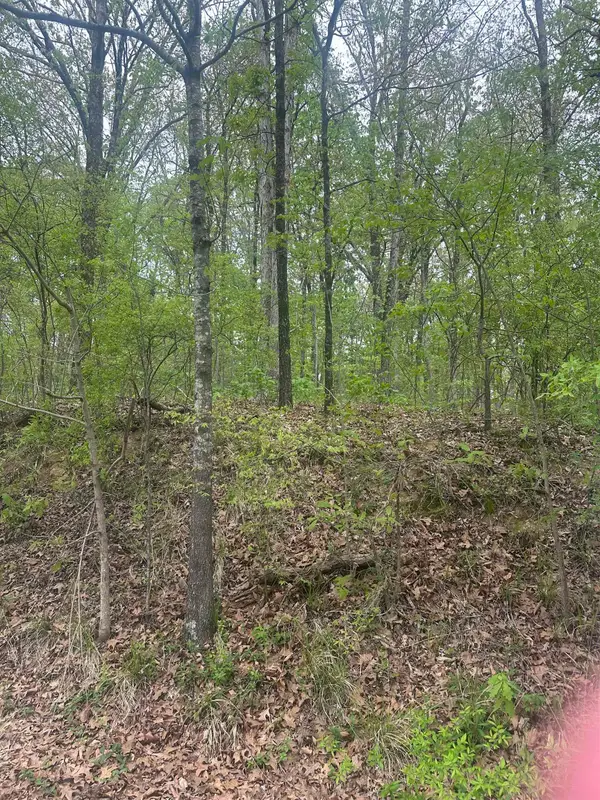 8768/8750 BOB WHITE DR, Hernando, MS 38632