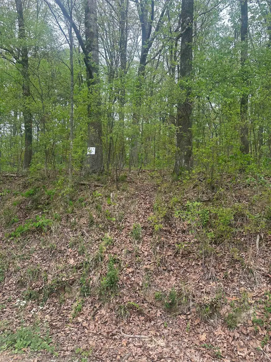 8768/8750 BOB WHITE DR, Hernando, MS 38632 - #2