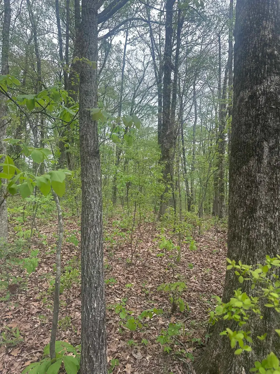 8768/8750 BOB WHITE DR, Hernando, MS 38632 - #3