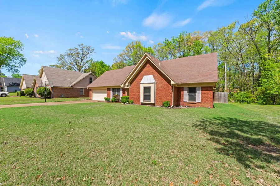 8926 MAGNOLIA LEAF CV, Cordova, TN 38018 - #3