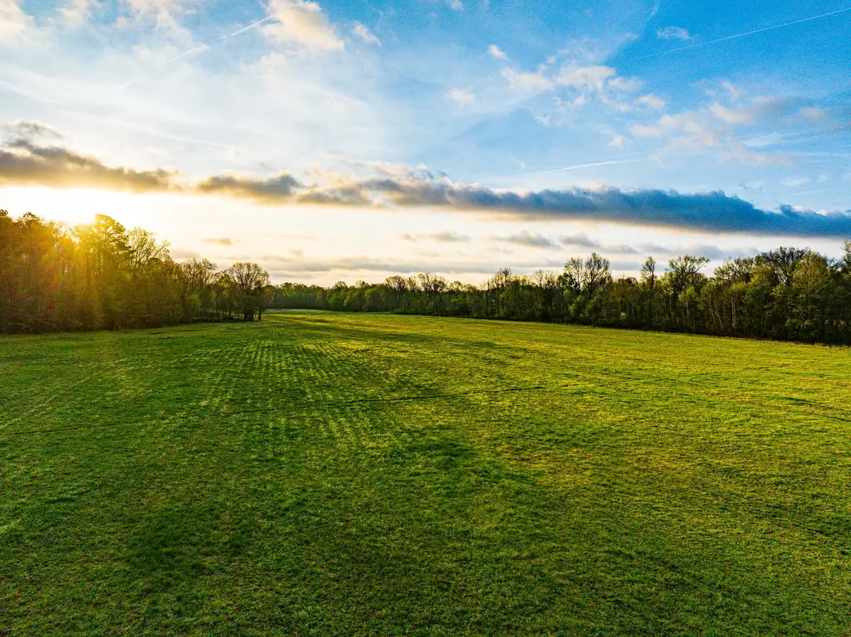 153 HARRISON RD, Martin, TN 38237 - #1