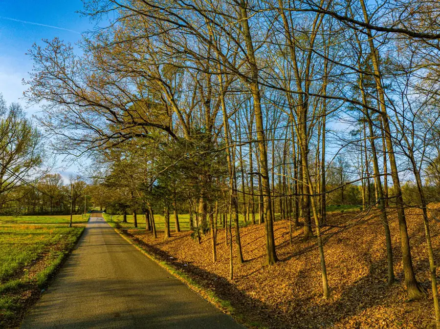 153 HARRISON RD, Martin, TN 38237 - #2