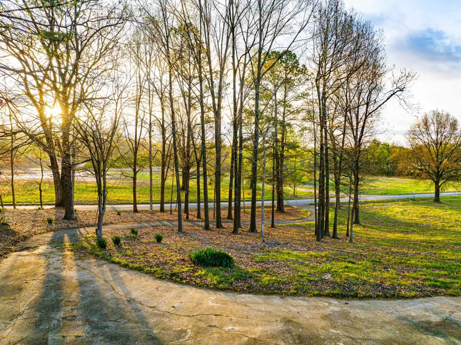 153 HARRISON RD, Martin, TN 38237 - #3