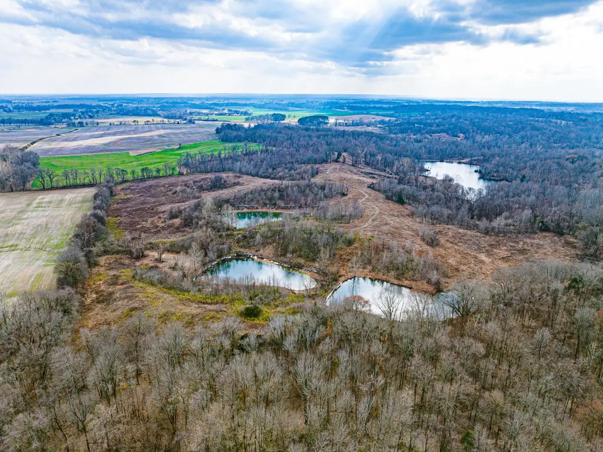 0 MINNICK ELBRIDGE RD, Obion, TN 38240 - #1
