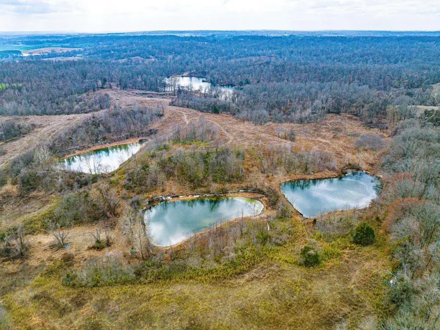 0 MINNICK ELBRIDGE RD, Obion, TN 38240 - #2