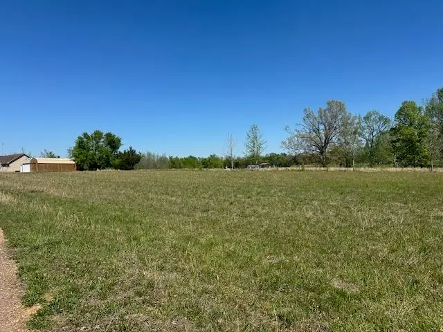 00 PEAR BLOSSOM LN, Adamsville, TN 38310 - #2