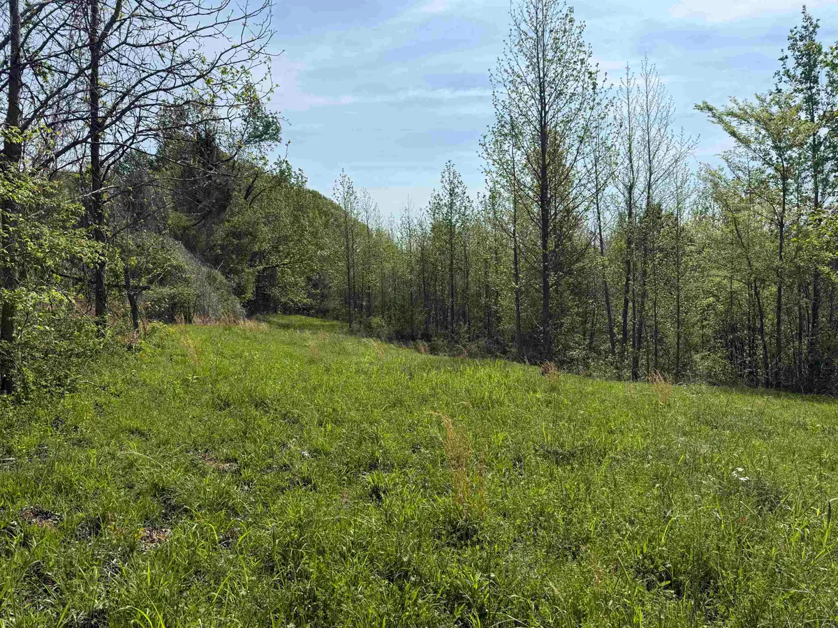 00 NEEDHAM RD, Randolph, TN 38023 - #1