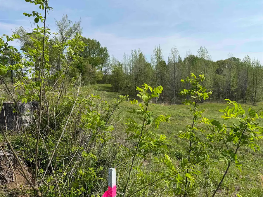 00 NEEDHAM RD, Randolph, TN 38023 - #2