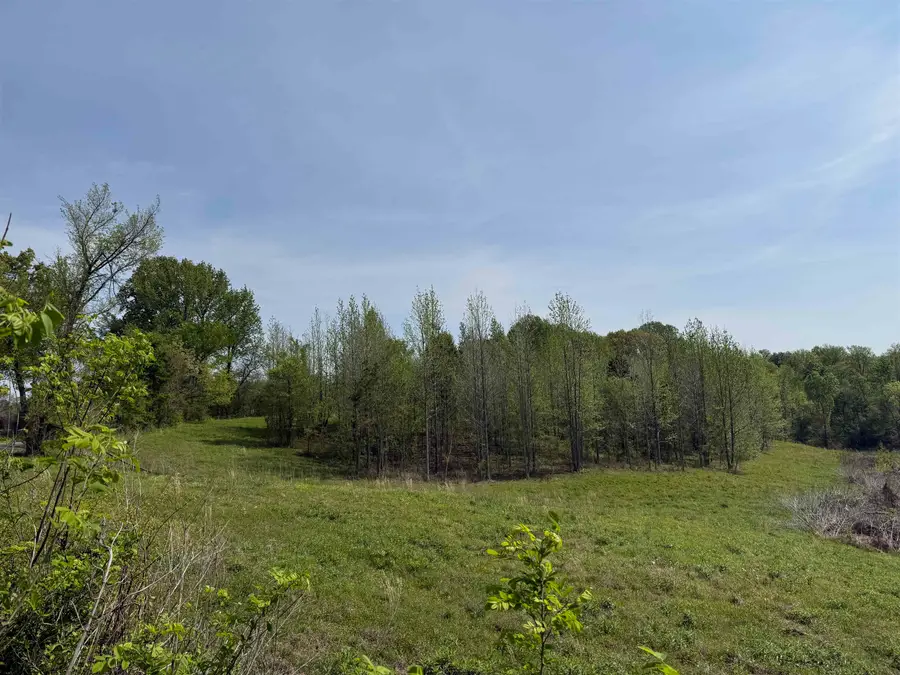 00 NEEDHAM RD, Randolph, TN 38023 - #3