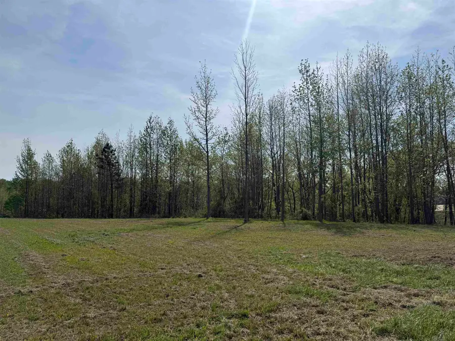 000 NEEDHAM RD, Randolph, TN 38023 - #2