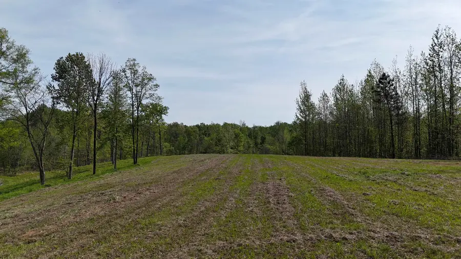 000 NEEDHAM RD, Randolph, TN 38023 - #3