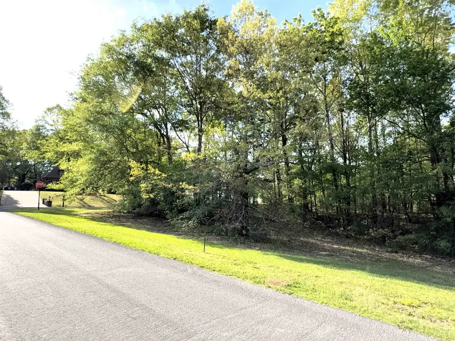 70 GROVE PARK LN, Piperton, TN 38017 - #3