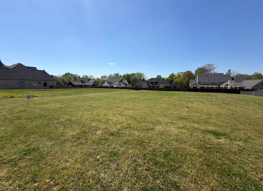 421 CASSIDY LN, Collierville, TN 38017 - #3