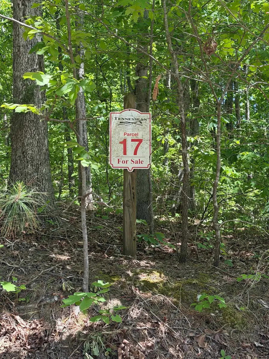 0 MASTERS PL, Springville, TN 38256 - #2