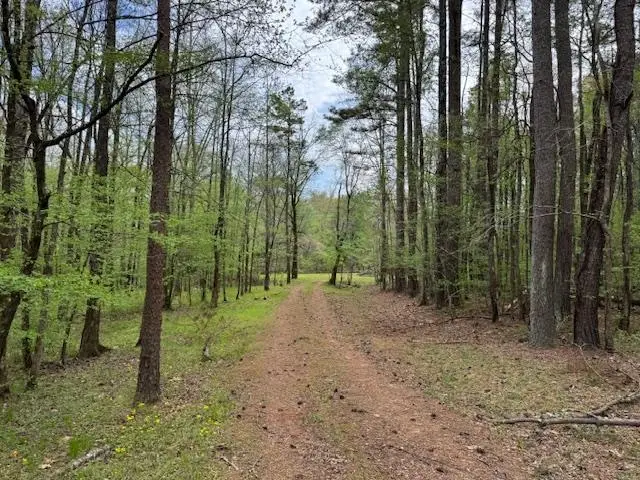 LAKE HARDEMAN RD, Saulsbury, TN 38067 - #1