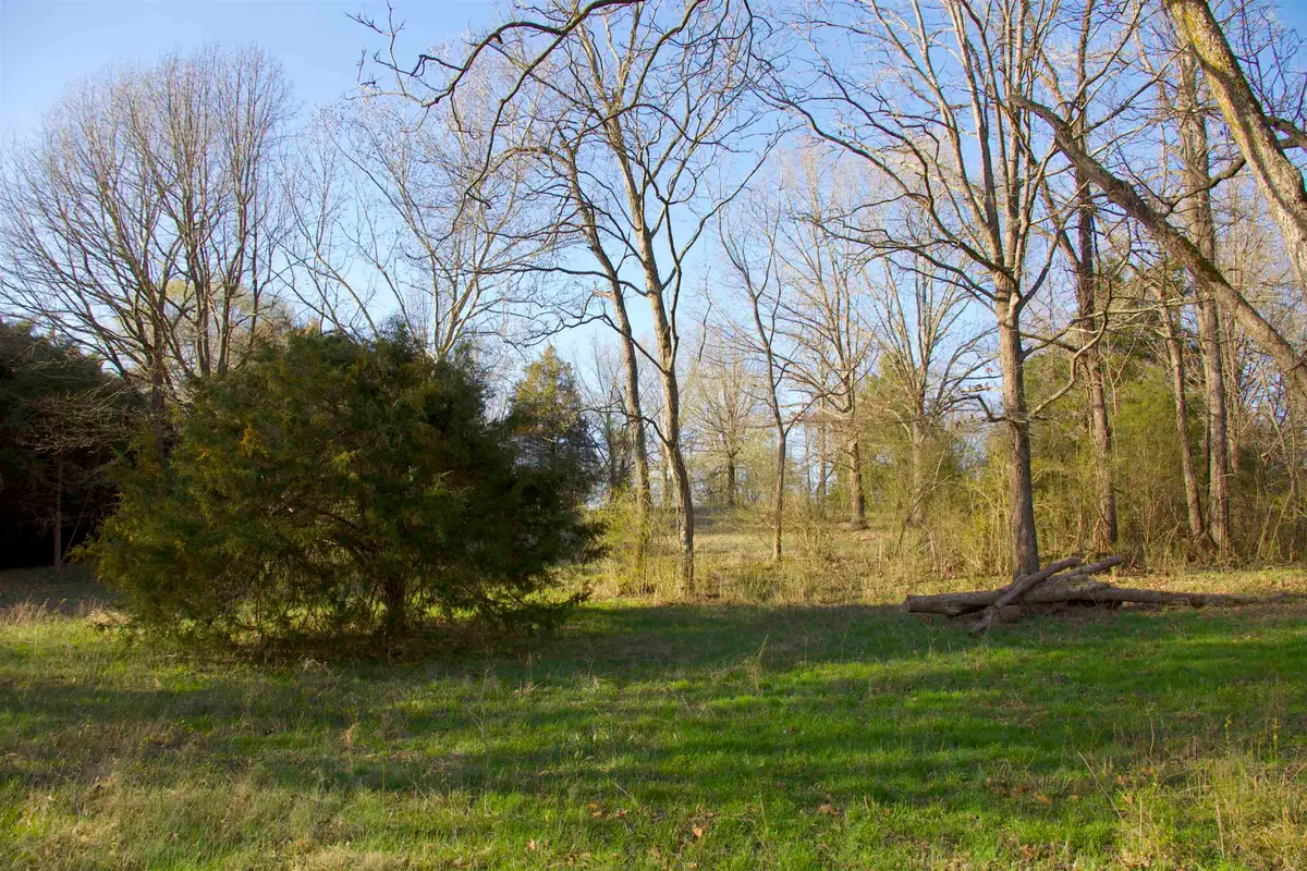 11925 OLD JACKSON RD, Somerville, TN 38068 - #1